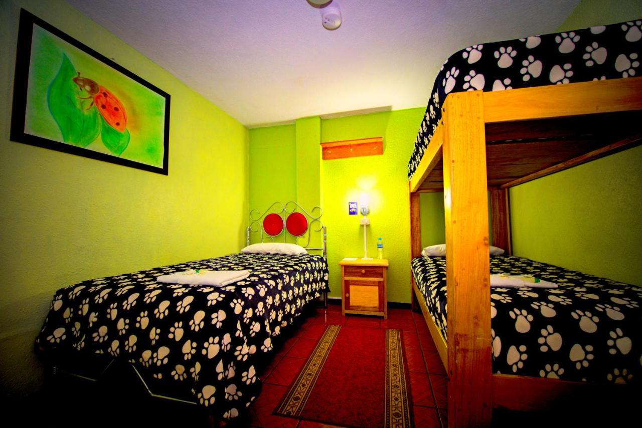 Mirador Oro Verde Quilotoa Zumbagua Esterno foto